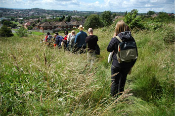 group of particpants walking through tall grass with housing estate in distance
